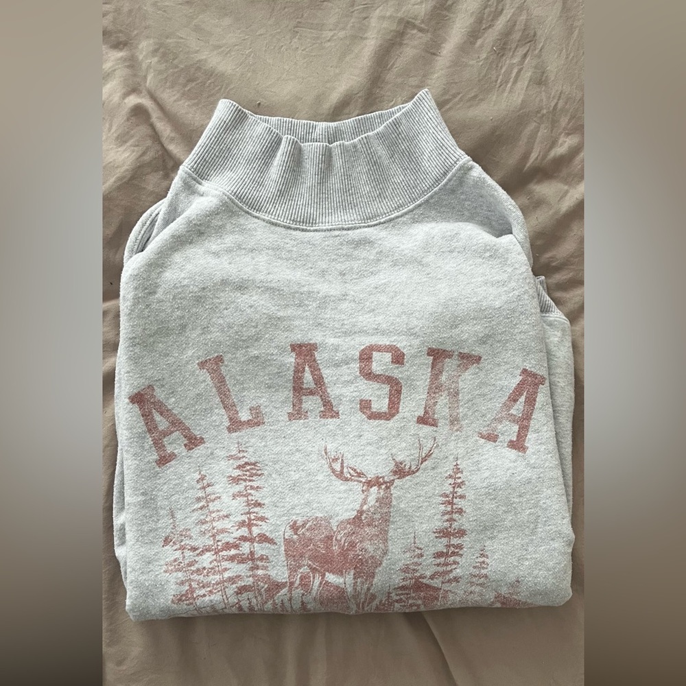 Aerie Mock Turtleneck Sweatshirt